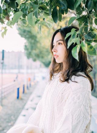 青丝影视在线看免费版