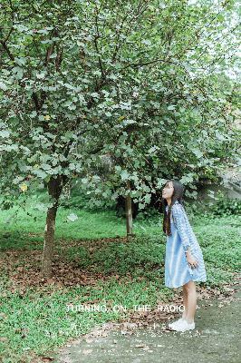 猫女的诅咒在线观看