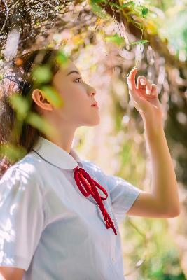 风流韵事出租车