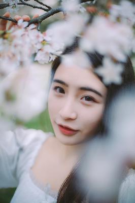 孤舟电视剧全集免费观看高清在线播放