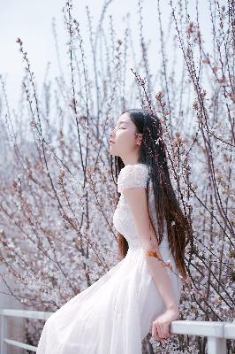 都市古仙医动漫免费观看